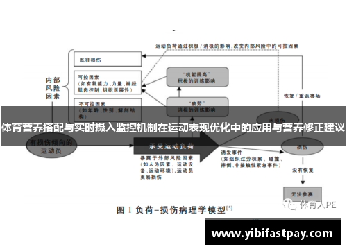 体育营养搭配与实时摄入监控机制在运动表现优化中的应用与营养修正建议